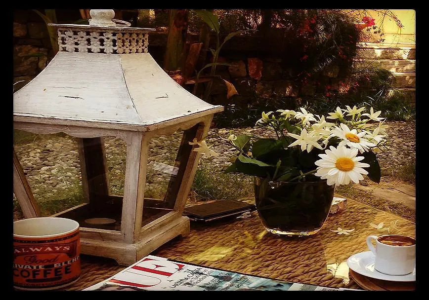 Han Boutique Hotel Sarigerme Turkey