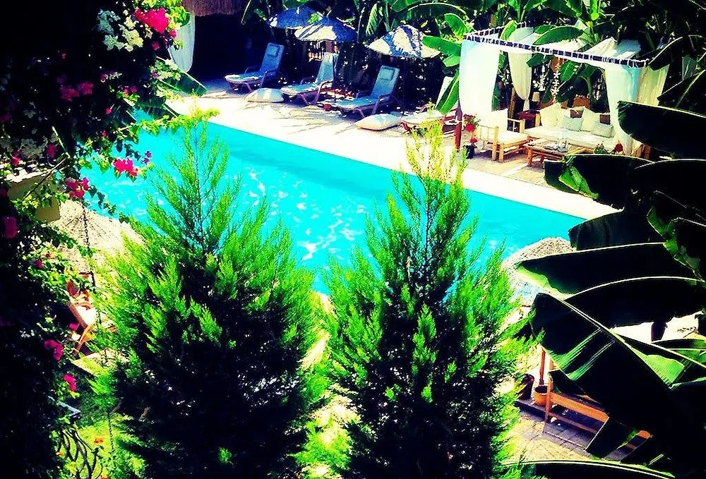 Han Boutique Hotel Sarıgerme 3*,  Turcja